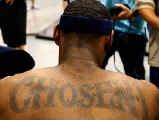 官方同步放 官方同步放